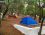 Çamlık Camping Ayvalık